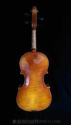 [首席提琴] 熱銷商品超低預購優惠中 碳纖維 小提琴三角盒 4/4 預購優惠價 只要5880元 限量2組 優惠至8/31止 歷史價格詳細信息