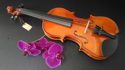 **奧洛斯樂器**Rico公司貨 中音薩克斯風清潔組/管身通條+頸部通條 歷史價格詳細信息