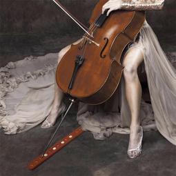 實木大提琴防滑板防滑墊止滑墊防滑帶非洲桃花芯木 歷史價格詳細信息