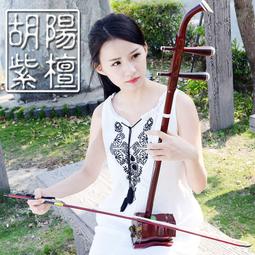 高檔二胡黑檀二胡烏木專業演奏舞臺入門高級正宗正品二胡兒童二胡 歷史價格詳細信息