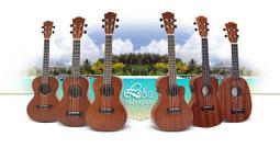 §恩心樂器批發§ LHT-MM-CE 免運超值六件組 美國大廠LEHO 26吋烏克麗麗附拾音器 插電烏克麗麗 歷史價格詳細信息