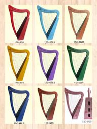 【 小樂器 】名家琵琶 大葉楊  紅木嵌牛骨 附袋子  2號賣場 專用防撞琴盒另購 歷史價格詳細信息