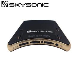 SkySonic T901 單系統 音孔拾音器 吉他拾音器 標準款 歷史價格詳細信息