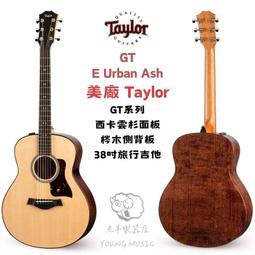 【Taylor】Taylor ES-GO GS-MINI 專用拾音器(原廠公司貨 商品保固有保障) 歷史價格詳細信息