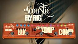 Tech21 Acoustic Fly Rig 木吉他效果器-全類比綜合-體積小-原廠公司貨 歷史價格詳細信息