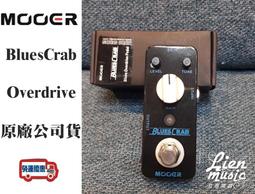 『立恩樂器』吉他音箱 Positive Grid Spark MINI Vai Steve Vai 聯名 藍牙喇叭 歷史價格詳細信息