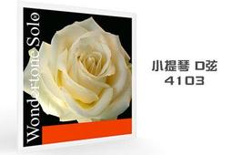 小叮噹的店- 小提琴弦(第三弦 D弦) 奧地利 Thomastik Vision Titanium solo VIT03 歷史價格詳細信息