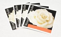 [台灣博聲提琴弦樂] 德國 Pirastro Evah 綠美人 綠魔鬼  3/4-1/2 套弦 大提琴套弦. 歷史價格詳細信息