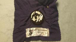 [台灣博聲提琴弦樂]提琴漆 專用刷 原裝進口 德國 毛刷 油漆刷子 弧形毛筆 刷漆工具 - 黑牛毛弧形筆-10MM弧形 歷史價格詳細信息