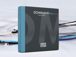 【現代樂器】奧地利DOMINANT PRO 小提琴 單弦 D弦 第3弦 4/4款 DP03 DP03A  兩種規格可選擇 歷史價格詳細信息