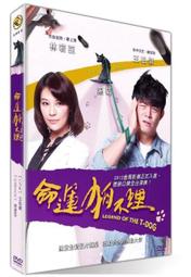 Legend of the Sand Dollar Vtg Wooden Lacquer Plaque Wall Art/Hanging--6&quot; x 8&quot; 歷史價格詳細信息