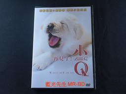 [DVD] - 再見瓦城 The Road to Mandalay ( 台灣正版 ) 歷史價格詳細信息