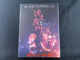 [藍光先生DVD] 迷失安狄 Miss Andy ( 得利正版 ) 歷史價格詳細信息