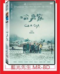 [藍光先生DVD] 哈利波特：火盃的考驗 雙碟珍藏版 Harry Potter ( 得利正版 ) 歷史價格詳細信息