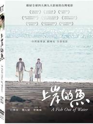 OUT (DVD) 附贈「耐達人車貼」倉悠貴 醍醐虎汰朗 與田祐希 台灣正版全新113/8/9發行 歷史價格詳細信息