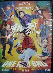 【488】LED燈條 5730 3串4並 9V-12V 直接驅動 DIY 正白光 暖白光 有背導熱膠 歷史價格詳細信息