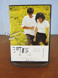 DVD 看上去很美：小紅花 DVD正版二手 董博文 寧元元<風聲<搶正<落葉歸根<蒼生大醫<我們倆<王首先的夏天<風聲 歷史價格詳細信息