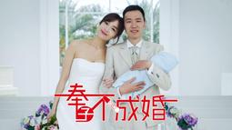 煥賣玩意＃【DVD】不可能的任務：致命清算 (英語發音 中文字幕) 歷史價格詳細信息