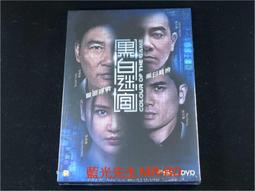 The Colour Thief【禮筑外文書店】[79折] 歷史價格詳細信息