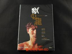 DRAG ON DRAGOON(復仇龍騎士/誓血龍騎士)~官方中文攻略 【青文出版】 歷史價格詳細信息