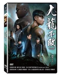 合友唱片 面交 自取 烏龍巡警2 (DVD) Super Troopers 2 歷史價格詳細信息