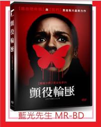 [藍光先生DVD] 迴路殺手 Looper (威望正版) 歷史價格詳細信息