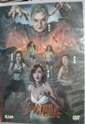 免運~區域感 器SL-V10L.SL-V12L、SL-V14L 原正品/光柵 keyence基恩士 GK123 歷史價格詳細信息