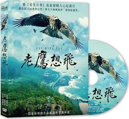 老鷹 飛黃騰達 大展鴻圖 元寶黃銅 化煞 招財 開業 大鵬展翅 歷史價格詳細信息