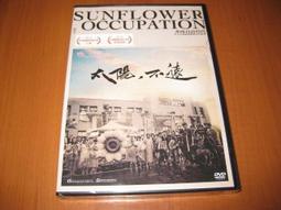 全新影片《囧事一家親》DVD 泰艾爾蘭 珊迪西蒙斯 塔瑪拉古德溫 馬文葛雷格 瑞秋艾莉格 歷史價格詳細信息