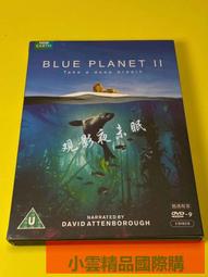 【小可精選國際購】【星月】正版電視劇碟片光盤 因為愛情有奇跡 經濟版 7DVD 趙韓櫻子彭冠英 歷史價格詳細信息