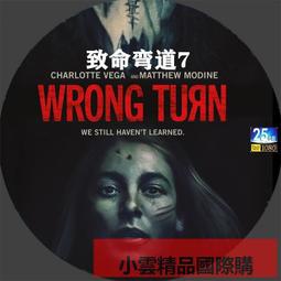 致命天際線DVD 克蘿伊摩蕾茲 Shadow in the Cloud 台灣正版全新110/6/4發行 歷史價格詳細信息