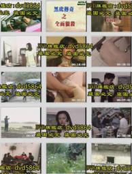 DVD 黑塔  DVD 台灣正版 二手；改編自史蒂芬金系列小說；影帝馬修麥康納&lt;青蜂俠&gt;&lt;蝙蝠俠&gt;&lt;創&gt;&lt;阿凡達&gt; 歷史價格詳細信息