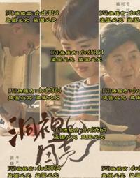電影裡的古典音樂 今晚在電影院 路易沙達 鋼琴 Luisada Au Cinema Ce Soir LDV118 歷史價格詳細信息