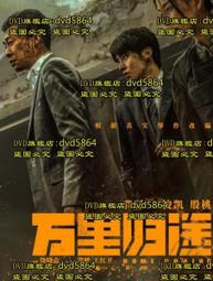 影裏DVD，Beneath the Shadow，綾野剛、松田龍平，台灣正版全新109/11/6發行 歷史價格詳細信息