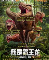 DVD 電影【我是少年/Memories of a Teenager】2019年西班牙語/中字 歷史價格詳細信息