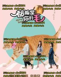 DVD 電影【都柏林動物/Animals】2019年英語 /中字 歷史價格詳細信息