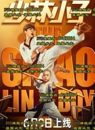 【台灣博土TWBT】202412-159 電影"少林小子"海報 孟飛 李琳琳 龍君兒主演 歐陽俊導演 1990年代 歷史價格詳細信息
