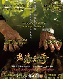 老錄像機錄像帶轉入電腦模擬AV信號DV攝像機超聲視頻采集卡UV200 歷史價格詳細信息