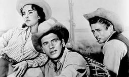 伊麗莎白泰勒 共10集 DVD 小婦人、玉女神駒、劫後英雄傳、郎心如鐵、岳父大人、巨人、朱門巧婦...... 歷史價格詳細信息