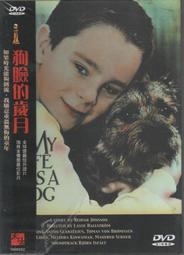 夠意思 日本雙面懶人拖把 (1拖 + 4布)- 超值二入組 歷史價格詳細信息