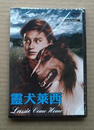 -聖萊西黃金系列零食【共10包 免運費 特賣】 (附送點數5包送1包) 狗狗零食 歷史價格詳細信息