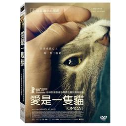 【同志電影】愛情別來無恙DVD，Paths，愛情，別來無恙 全新 歷史價格詳細信息