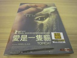 全新港影《一念無明》DVD 余文樂 曾志偉 金燕玲 型男余文樂演技大突破，生涯最接近影帝代表作！ 歷史價格詳細信息