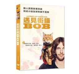 合友唱片 面交 自取  貓王沒有死？Elvis Lives! DVD 歷史價格詳細信息