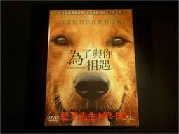 與你相依 1-5 臺版漫畫 全新未拆 角川 包郵 感興趣的話點“我想要”和我私聊吧～ 歷史價格詳細信息