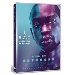 合友唱片 藍色是最溫暖的顏色 Blue is the Warmest Color 全新正版 DVD 面交 自取 歷史價格詳細信息