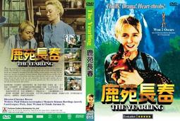 全新長春榮德光學主軸編碼器 R62S-15C05L-1024BM 現貨直發 歷史價格詳細信息