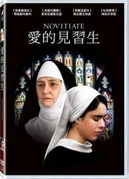 合友唱片 愛愛愛上你 Anyone But You DVD 席德妮史威尼＆格蘭鮑威爾 歷史價格詳細信息