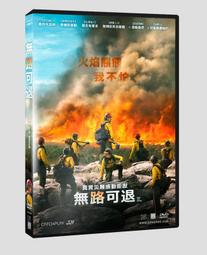 合友唱片 面交 自取 無名弒 鮑勃奧登科克 歌手RZA 克里斯多福洛伊德 Nobody DVD 歷史價格詳細信息