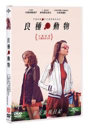 合友唱片  自取 鍋蓋頭3:絕地反擊 DVD Jarhead 3 歷史價格詳細信息